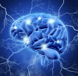 ������� ����������: ���������� 15 ����� ��� ������ � ������������