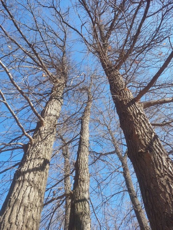 ��� �������������� ����� ������� � ������� ������� �����?