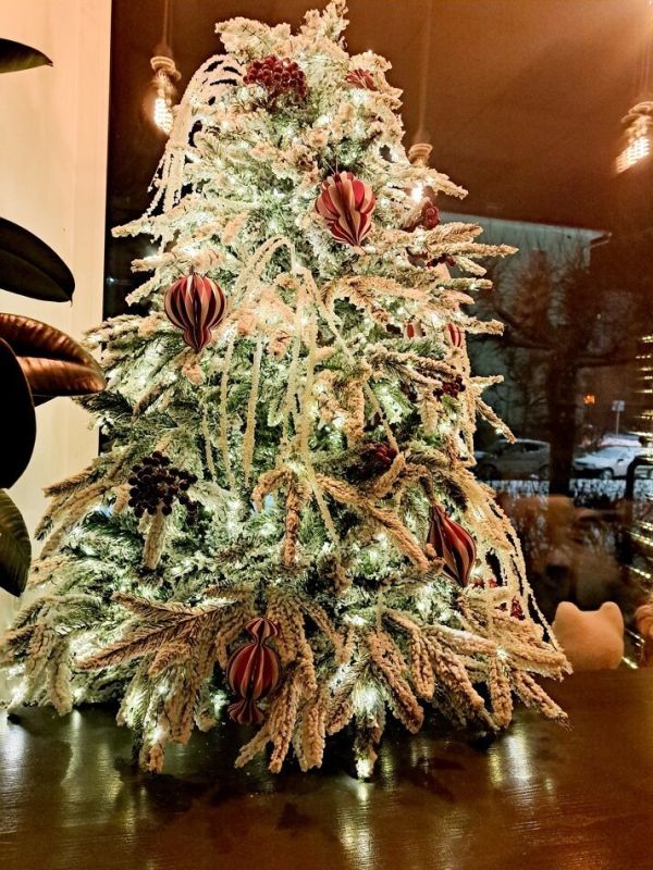 ��� ������� ������������ ����������� ������ �����