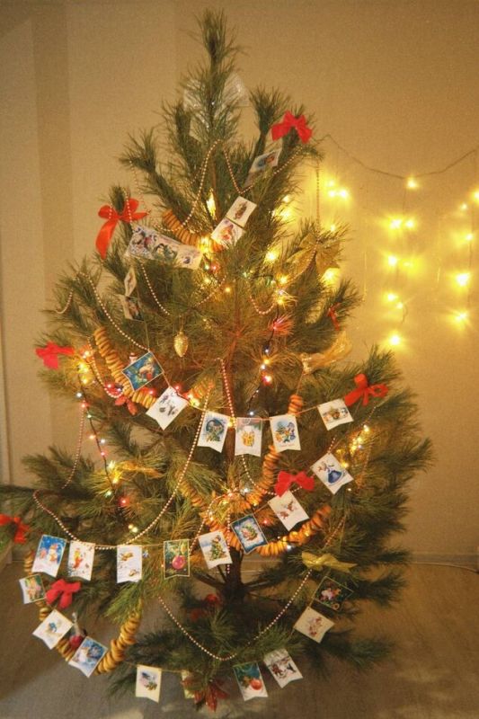 ������: ���� � ���������� � ������� ��������