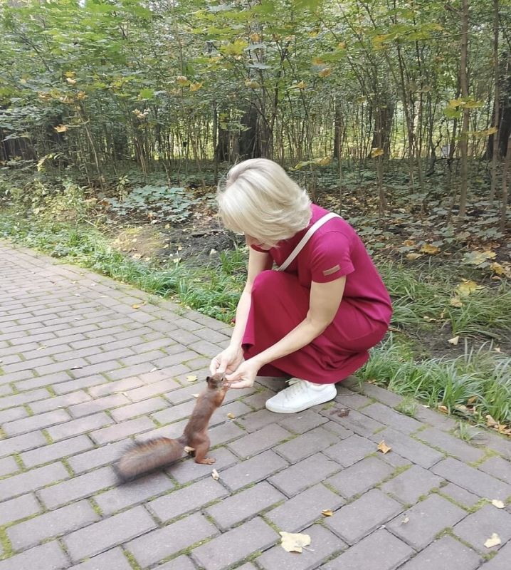 ��������� ��������� �������: ��� ������� ������ �� ������ �������?