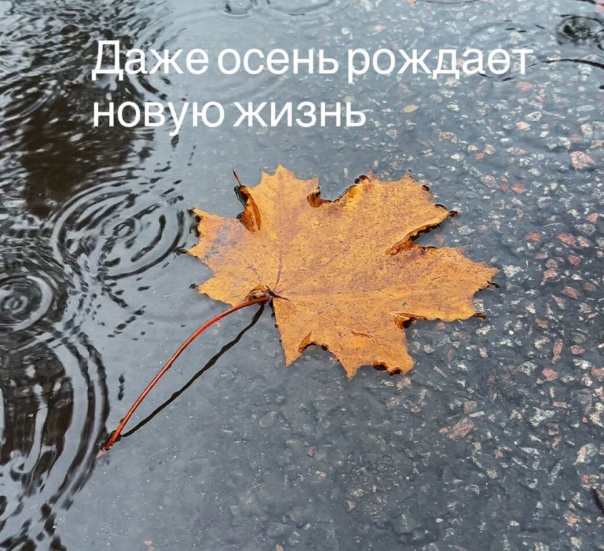 ����� ��� ����� ����������: � ��� ���� �������