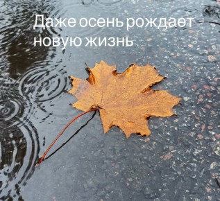 ����� ��� ����� ����������: � ��� ���� �������