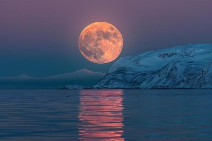 ��� ���������� ������ �� ���� ������������