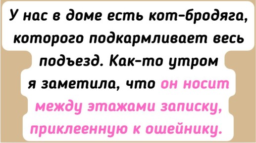 15 ������������ ������� � �������� ����� � ���������