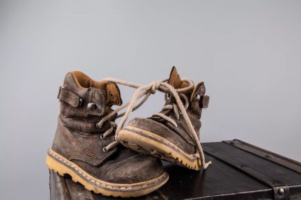 ���� �� ����� ������: ������ ����, ��������� ������� ����