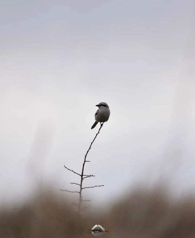 Что делает нас счастливыми: взгляд на жизнь глазами взрослых