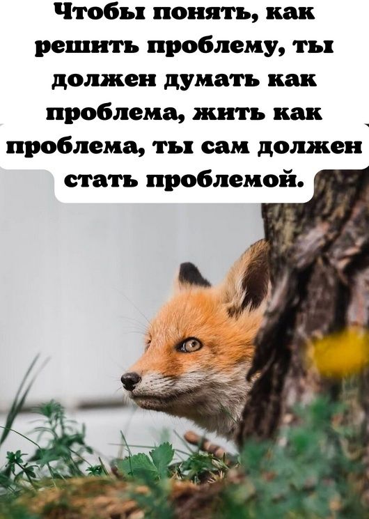 Психология с улыбкой: как сохранить настроение в трудные времена