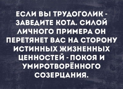 �����������: ��� ������ ����� ����� �������� �� ����������