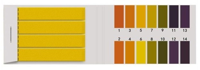 ����������� ��������: ��� �� ����� ������ ��� � ������� �������