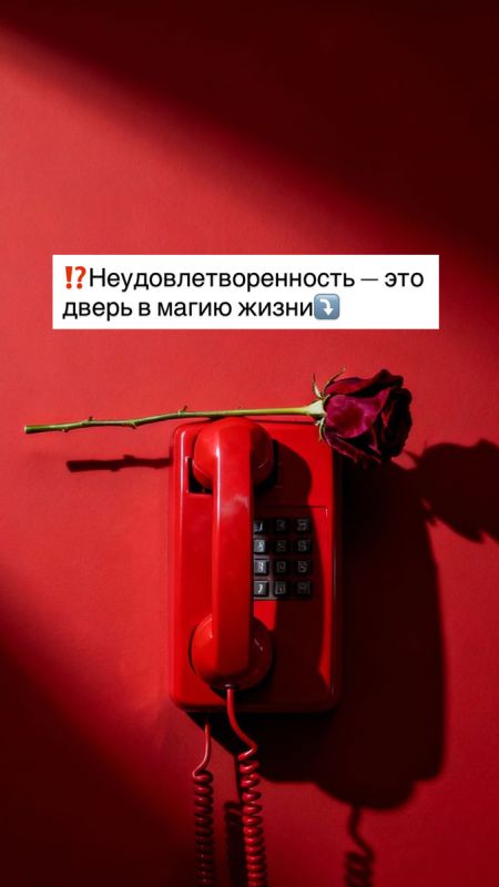 Как благодарность открывает двери к магии жизни