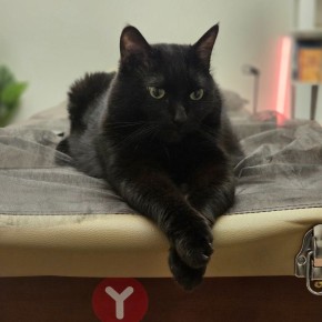 Психосоматика: как тело и разум влияют друг на друга