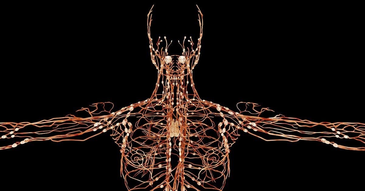 Как опыт тела формирует наш внутренний мир