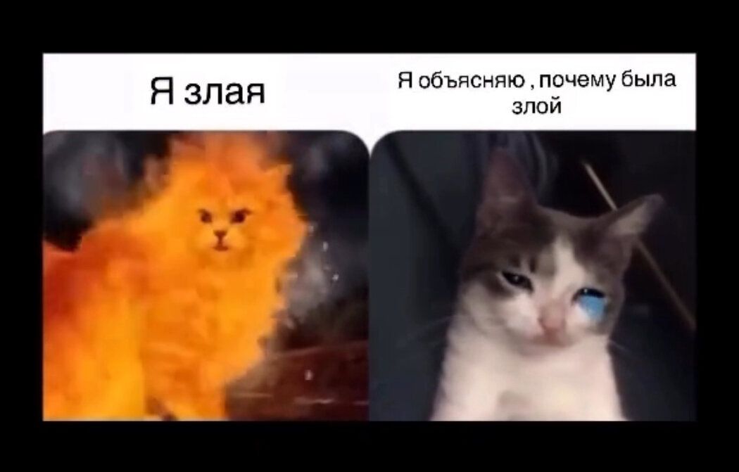 ��� ������ ��������� ��������� ���� � ������ ��� ������ ����