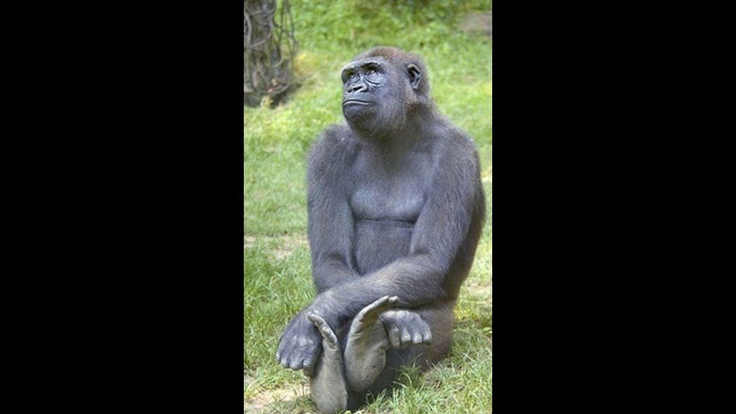 Почему маленькие шаги имеют большое значение в жизни