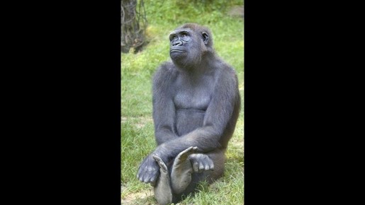 Почему маленькие шаги имеют большое значение в жизни