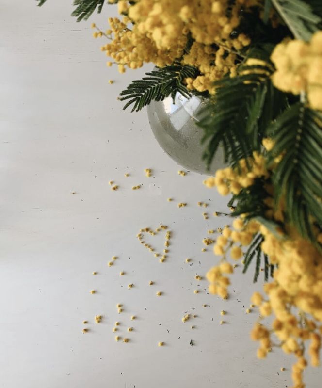 ��������������� ����� � ����������: ��� ����� �����