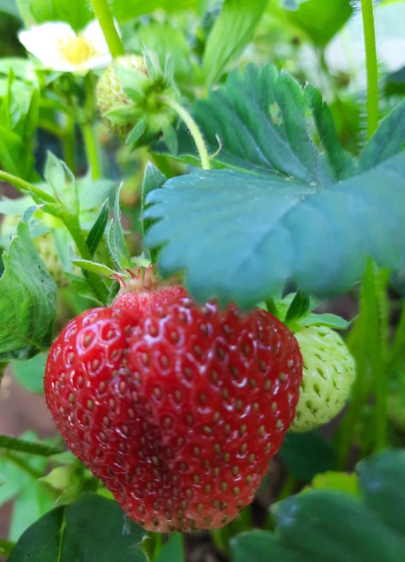 ��� ��������� ��������������� ������ � �� ��������