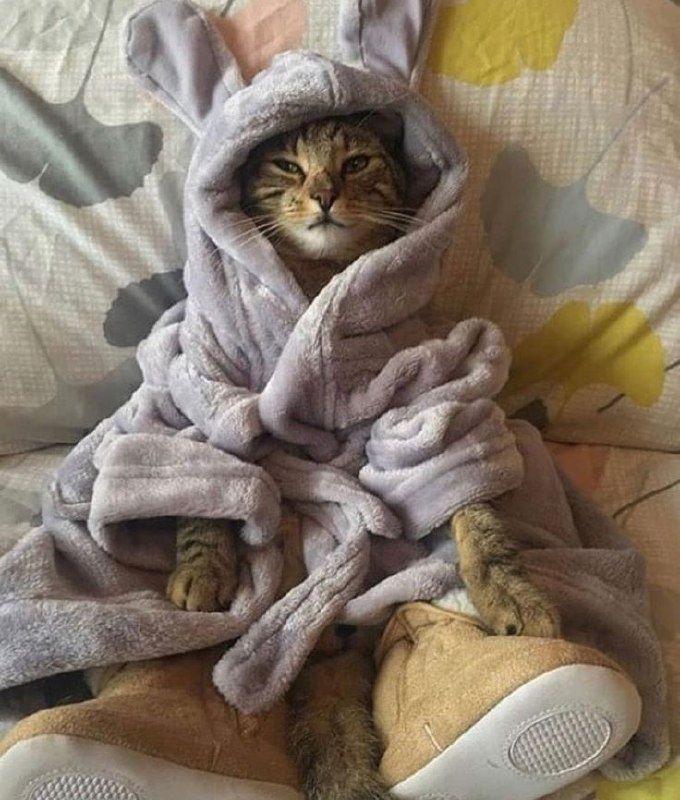 ������� ��������: ��� ������������ �������� ���������