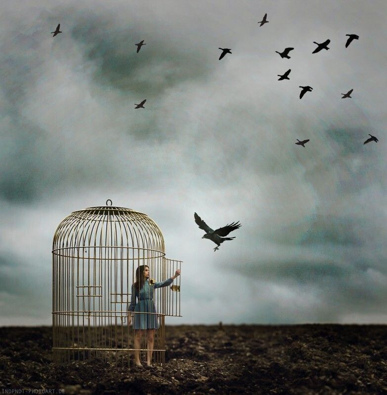 ��� ���� ������ ������������ ������ �������� ����� � �������