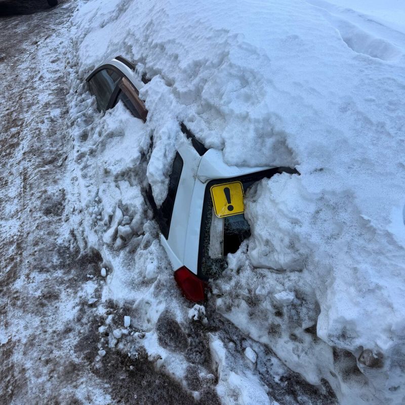 ��� ����� ����������� �� ��������