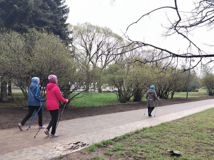 ��� �������� �������� ������: ������ ���������