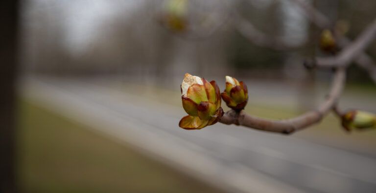 ������ ������ � ��������� ����� ��� ������ ������ � ����������