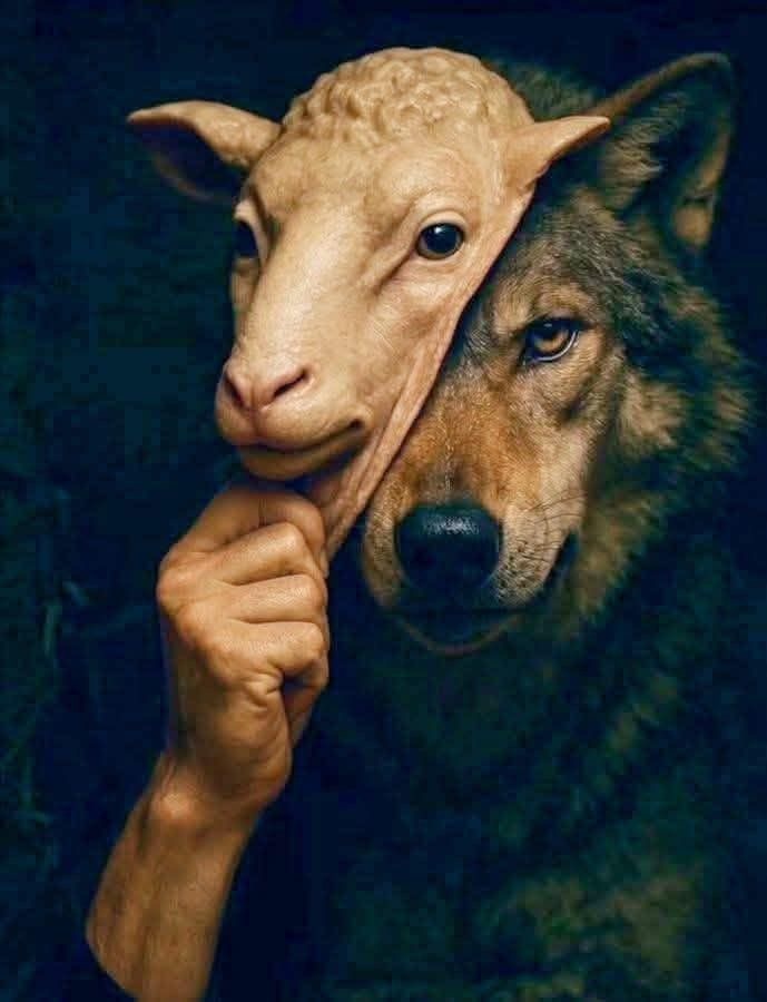 Почему пробуждение не равно переходу: честность как ключ к истинному развитию