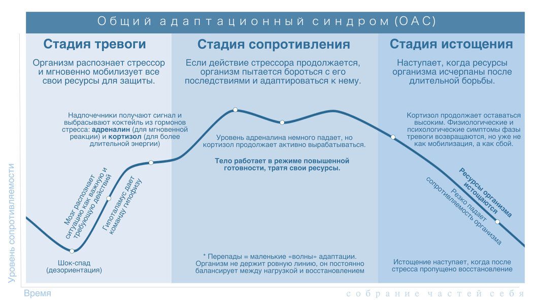 �� ������� � ��������: ��� �������� ��������� � ������������ ������