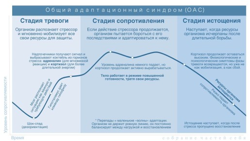 От стресса к гармонии: как избежать выгорания и восстановить баланс