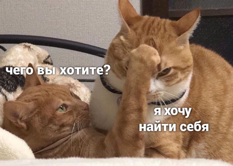 ������ ����� ������ ��������� ��� ��������� �����?