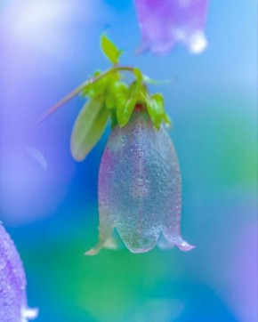 Как открыть новое «Я»: поиск себя в привычной жизни