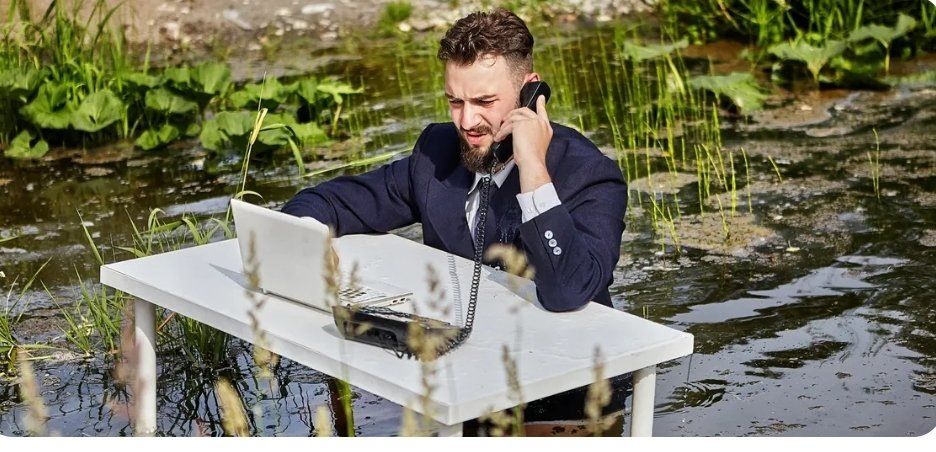 ������ ������� ������������ ���������� ������ �� ���