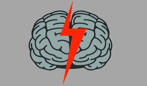 ��������� ���������: ��� ���� � ����������� ��������� ������������ �����