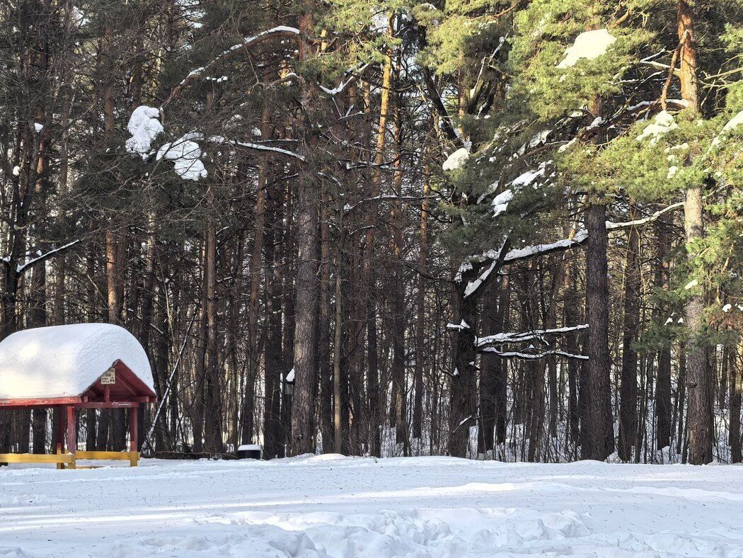 ��� ������������� ��������� �������� ����� ������� � �����