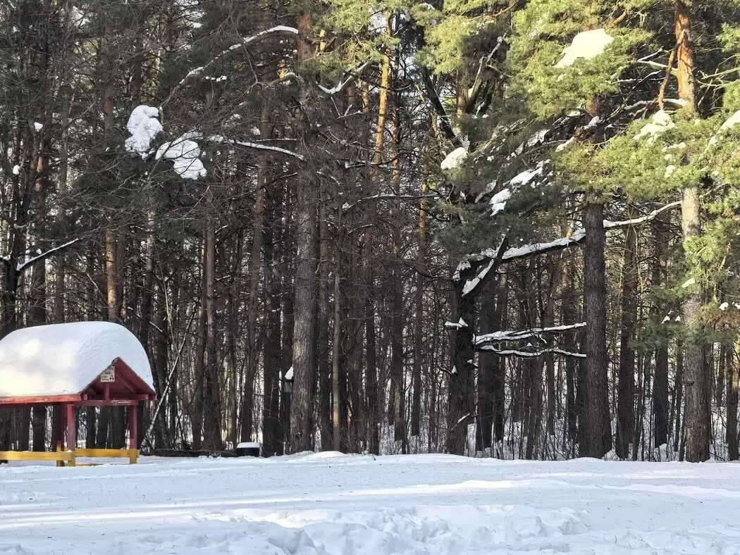 Как распорядиться свободным временем после перемен в жизни