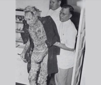 ������� �����: ��� ������� ������� ���� ���� ������ �� �������� �� ��-����