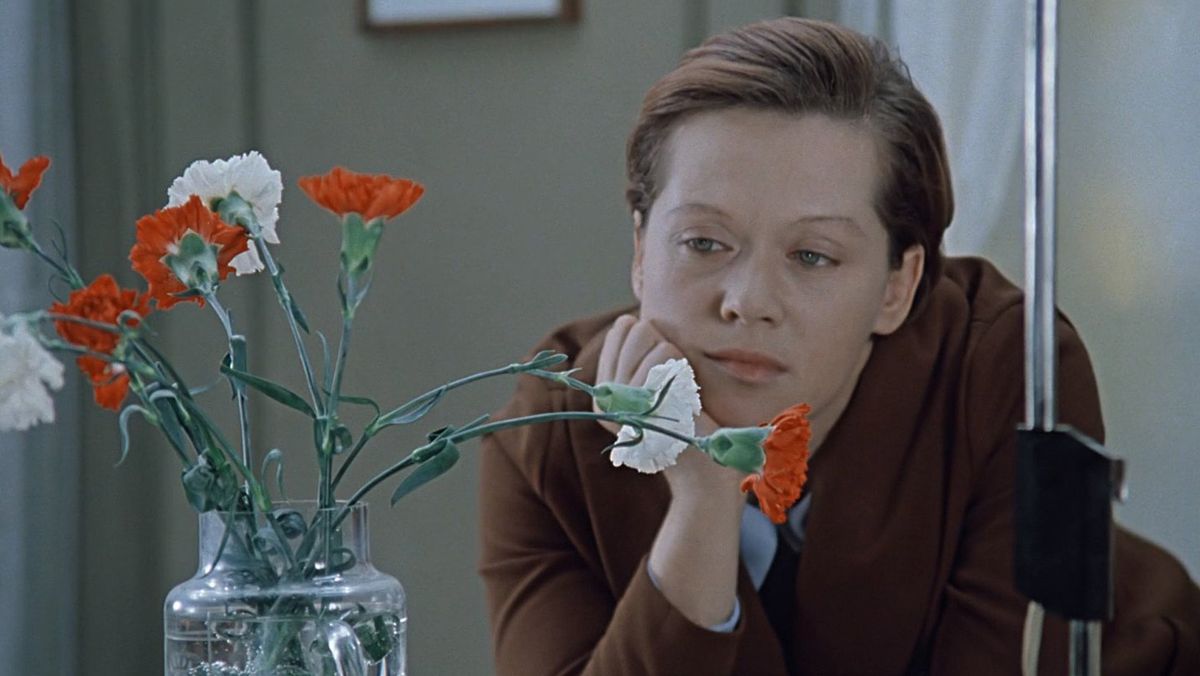 ����� ������ ���������� �������� � �����