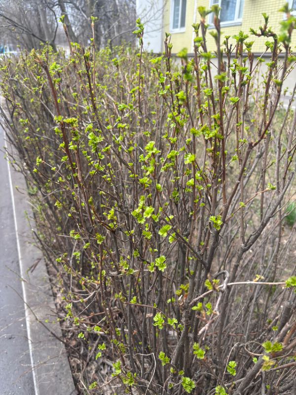 ����� � �������: ������ ������ ���������� �������