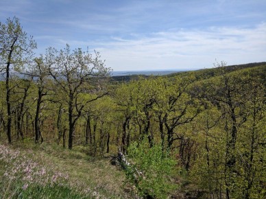 ������ ����� ������� ���� ������ ������ ������ � ����