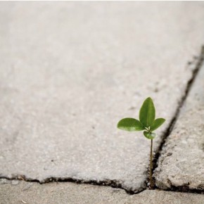 ��� ������ ������: ������� ����������� ��������