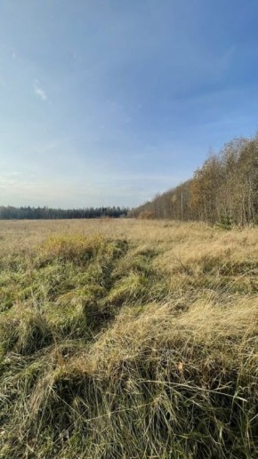 ���������� ������ ����� ���������: ����������, � �� ��������