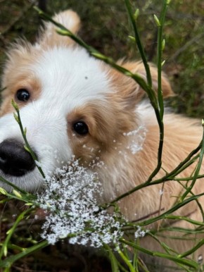 ��� ��������� ����� ������ ����������� � ������������