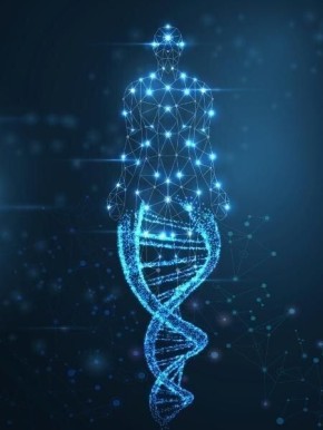 �������� � ������������ ��������: �� �������� � ���������������� �����