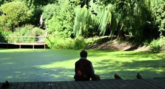 ��� ���������� ���� � ��������: ������ ���������