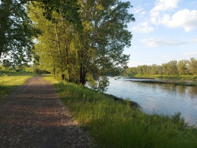 ������� �����: ����� ��������� � ������������ �������