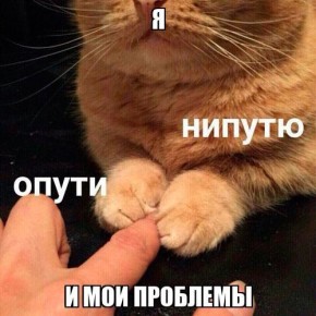 ��� ���������� � ���������� �����������: ������ �� �������� �����