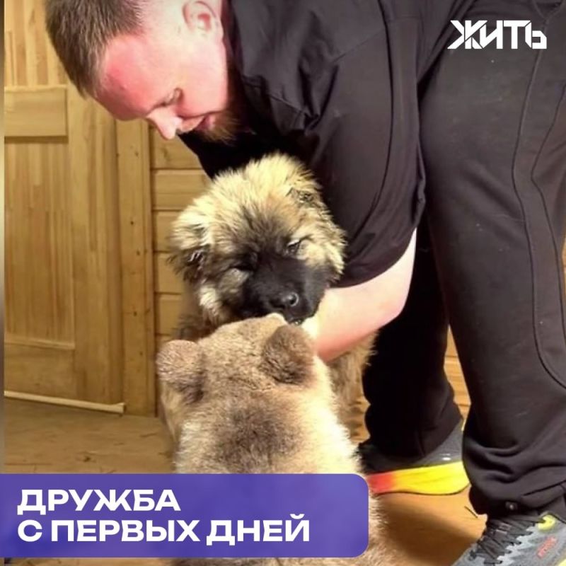 ������, ������� ������ ������