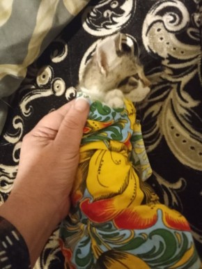 �����������: ��� ��������� ������� ������ �����?