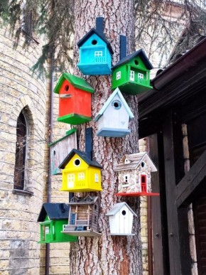 ��� ������� ������ ����� �������� ��������